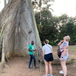 Aburi Botanical Gardens Experience – Ghana